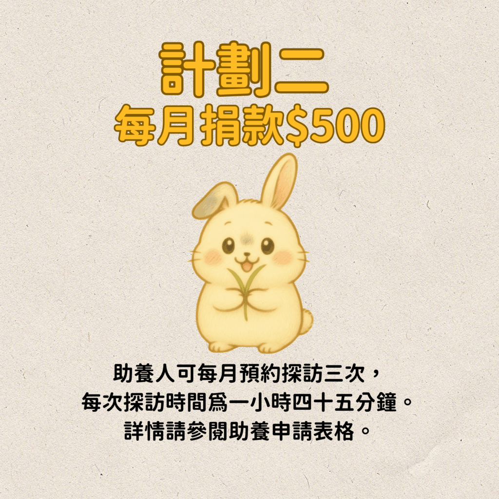 Infographic explaining how to sponsor: choose a rabbit, fill out the form, and make a donation.