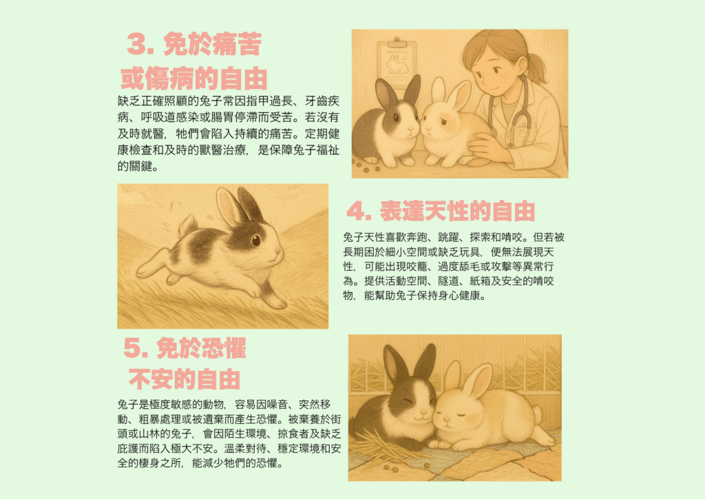 Infographic about bunny behavior: explaining binkying, flopping, chinning, and thumping as forms of communication.