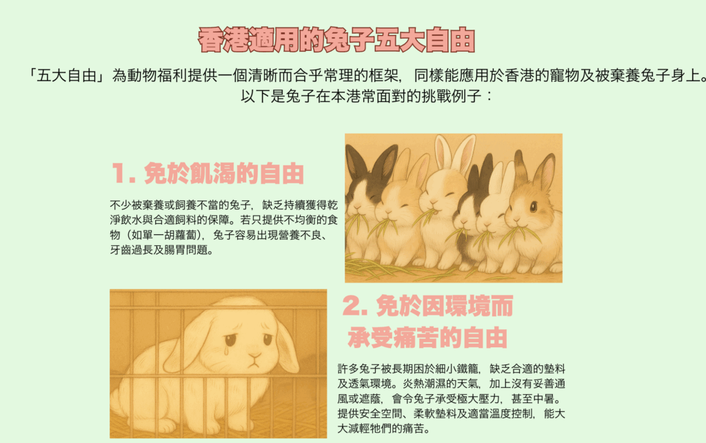 Infographic about bunny health: showing a checklist including desexing, vaccination, dental health, and regular vet check-ups.